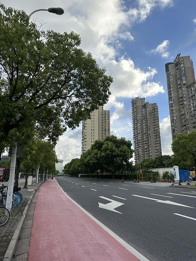 8月4日,上海市半淞园路,一段非机动车道已铺设上一层沥青.