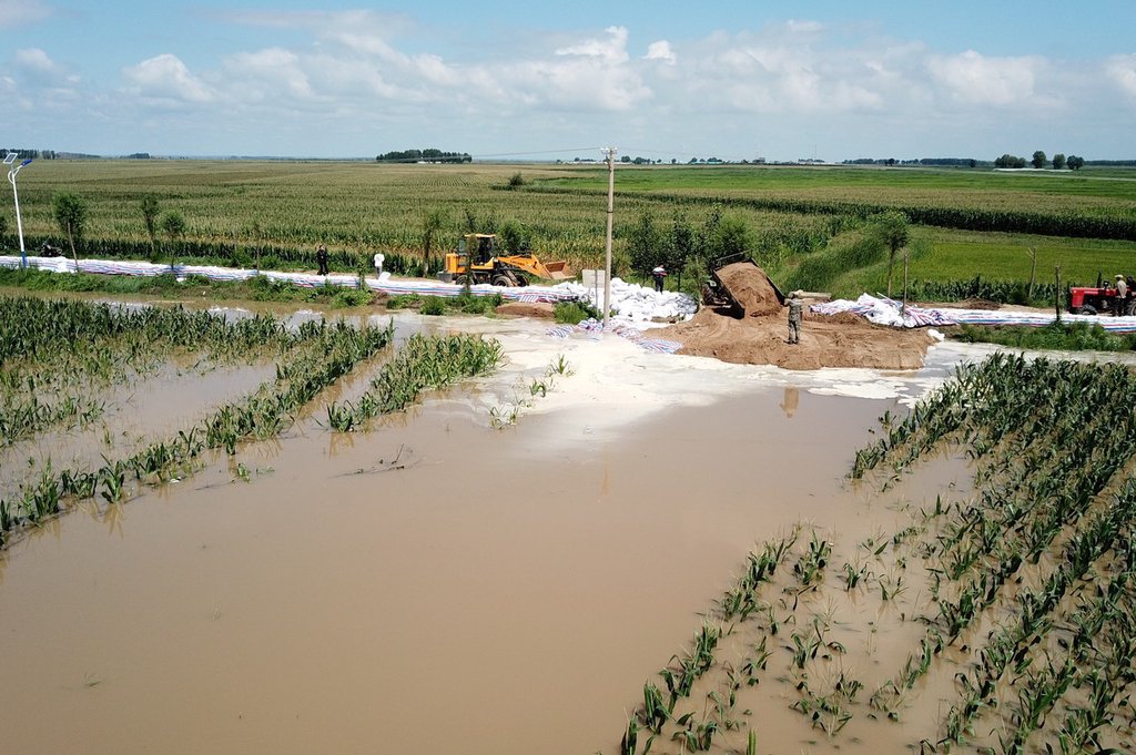 2023年8月9日,黑龙江省哈尔滨市双城区万隆乡增产村多口店屯,多户房屋