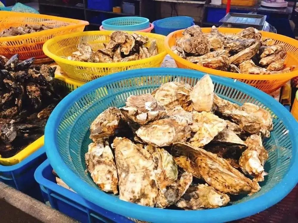 舟山菜市场的小海鲜(图源:受访者)