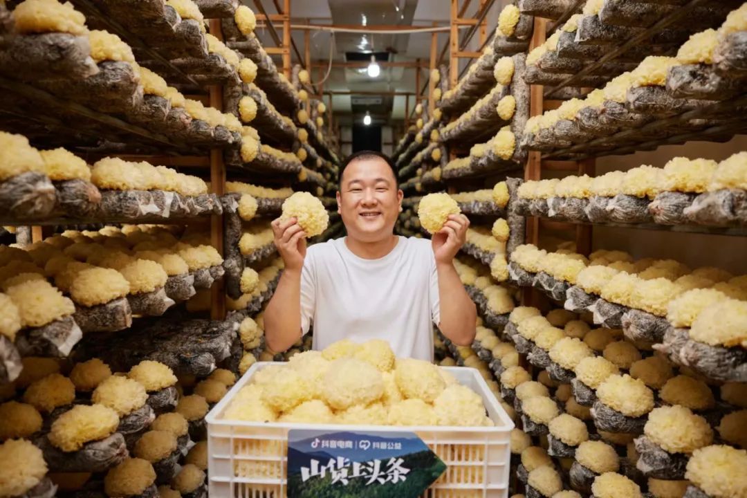 古田县中菌农业开发有限公司总经理黄忠生在菇棚中采摘下成熟的银耳