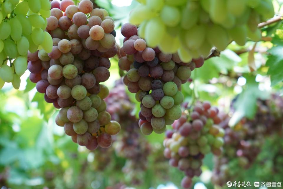 山亭区有哪些乡镇 山亭区有什么好玩的地方