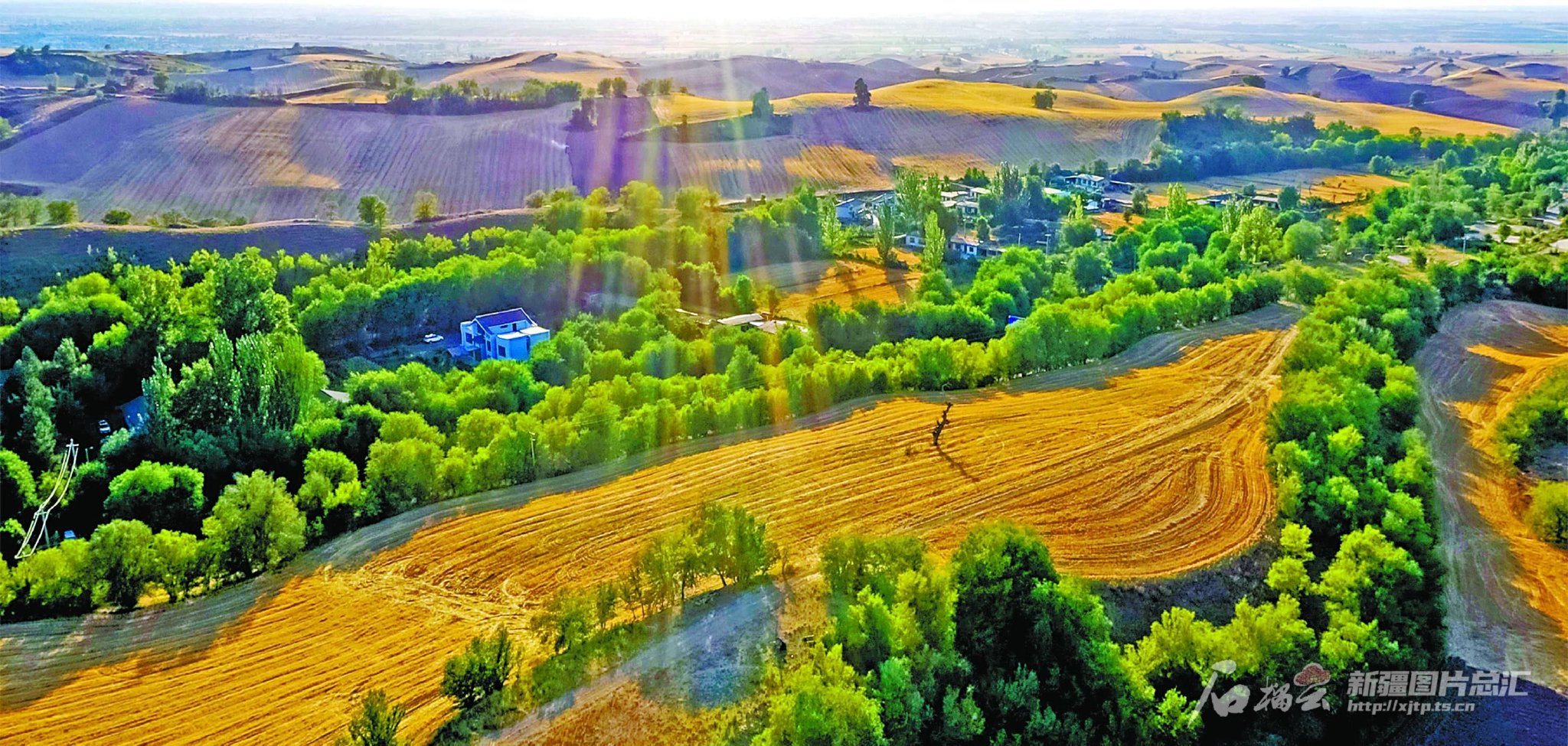 天山网-新疆日报记者赵长福 摄变成一群人的村庄在木垒书院,刘亮程