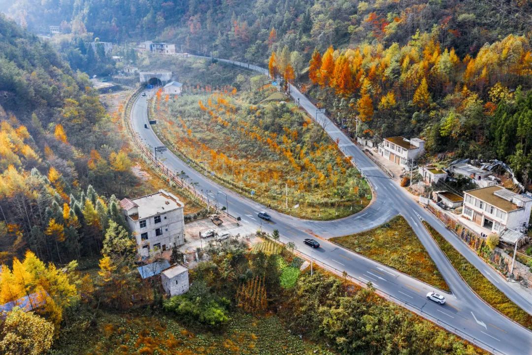 恩施公路,看这40年壮美变化!