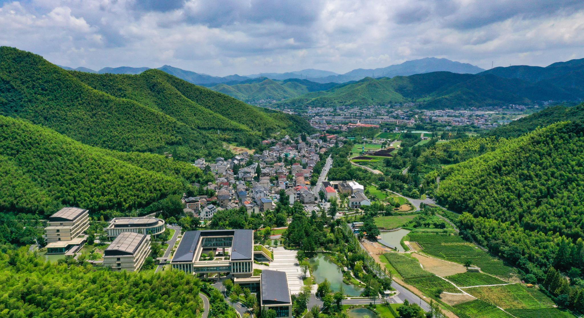 “两山”理念诞生地安吉的生态蝶变|安吉|白杨_新浪新闻