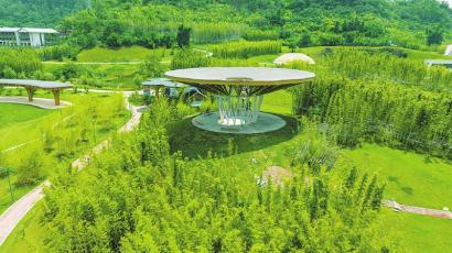 宜宾三江新区竹文化生态公园.罗顺 摄