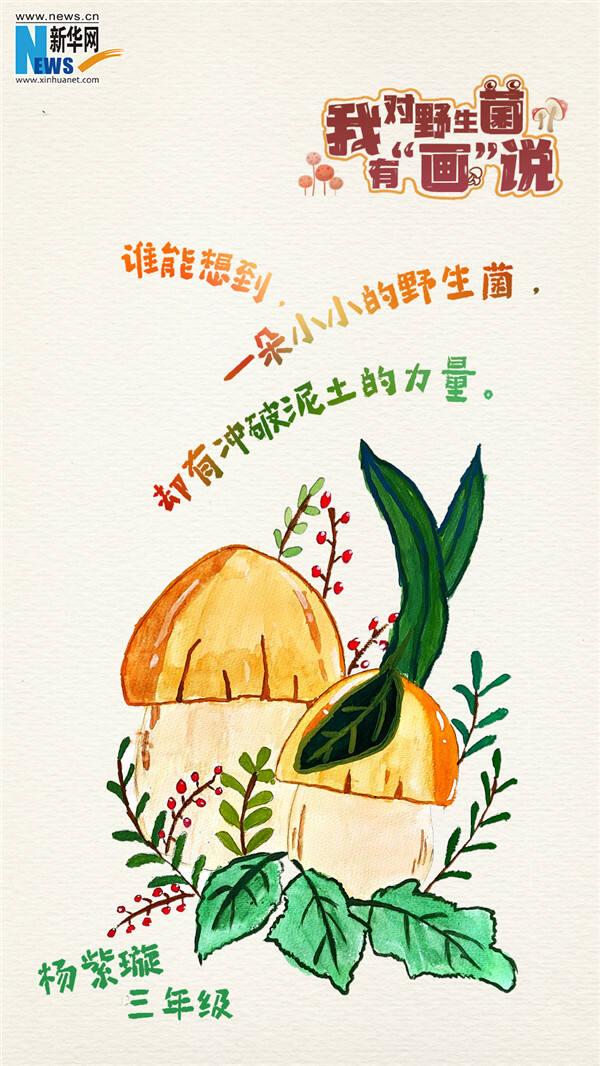 野生菌_新浪财经_新浪网