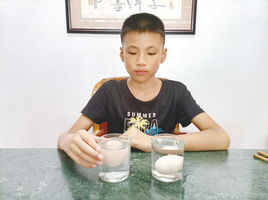 &nbsp;●步骤五:观察对照,发现装有盐水的那个杯子里的鸡蛋浮起来了