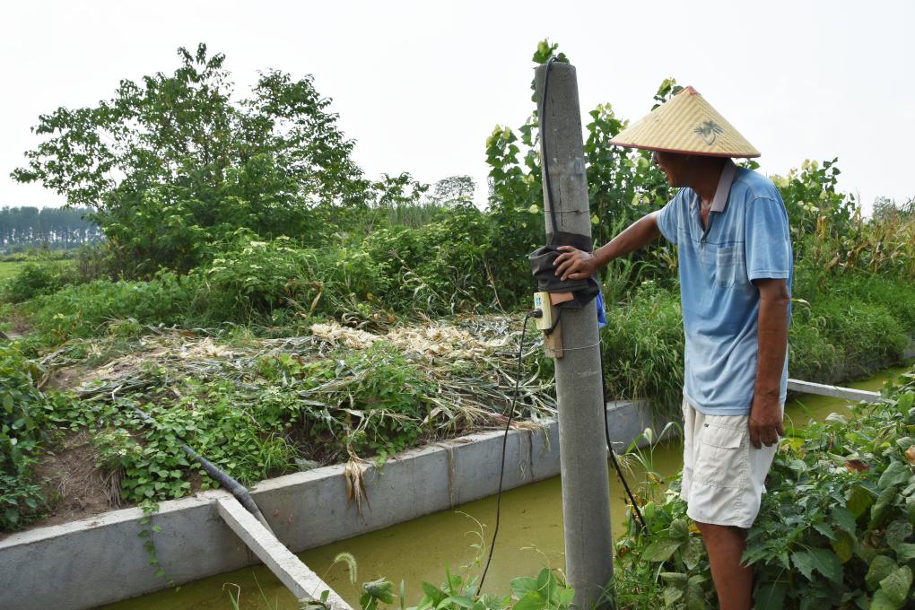 岳阳市君山区农民李冬阳开启水泵抽水灌溉.新华社记者白田田 摄