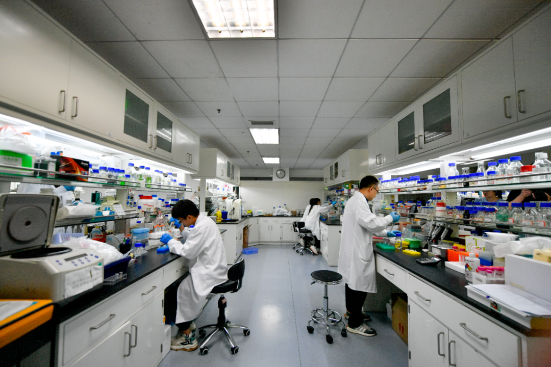 在中国科学院天津工业生物技术研究所实验室,科研团队在做人工合成己