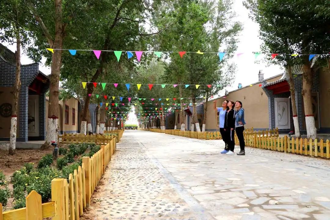 【中央媒体看甘肃】民勤:提"质"增"颜"擘画乡村振兴新图景|农村_新浪