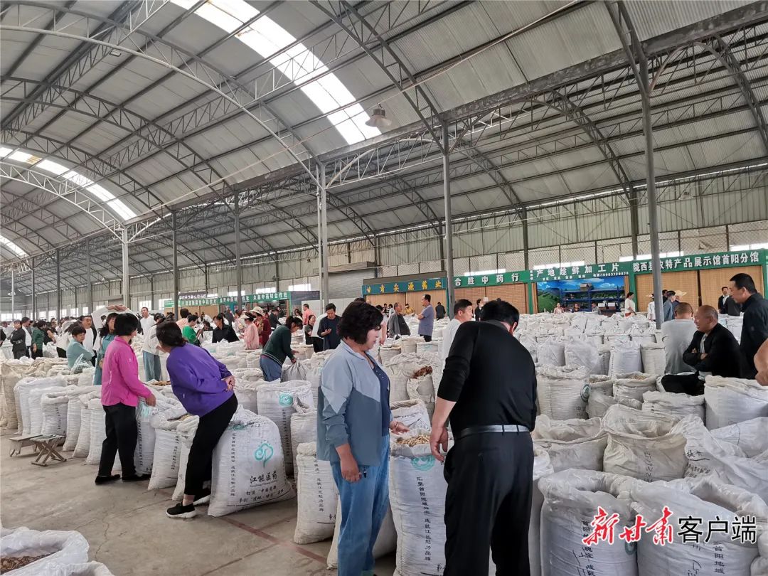 聚焦党参批发行业：市场趋势与前景展望