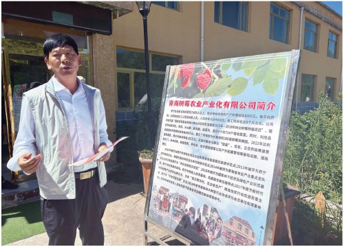 　　图为晁沐在介绍树莓产业发展情况。