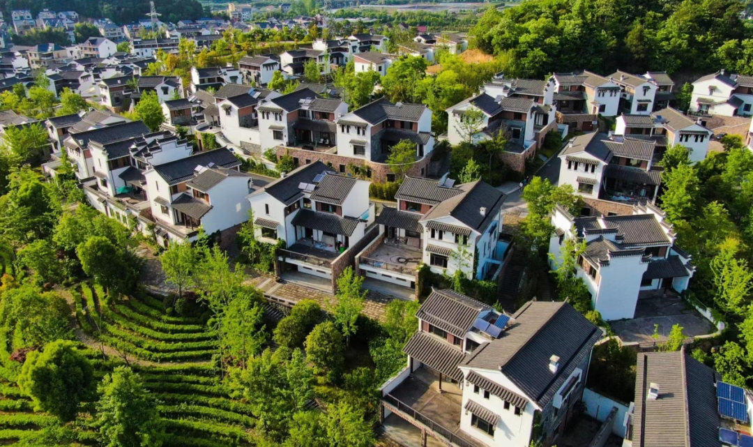 浙江乡村有多美?10个浙派民居建设典型案例,带你来看