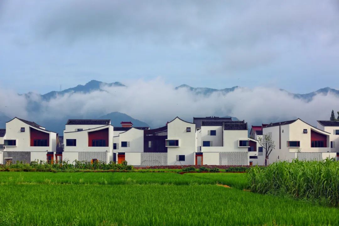 浙江乡村有多美10个浙派民居建设典型案例带你来看