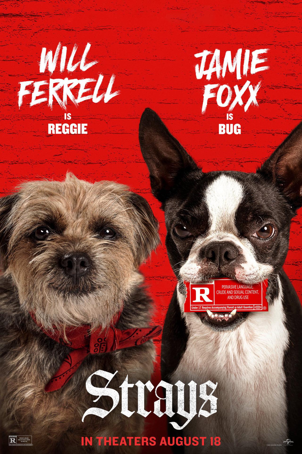 《流浪狗》海报