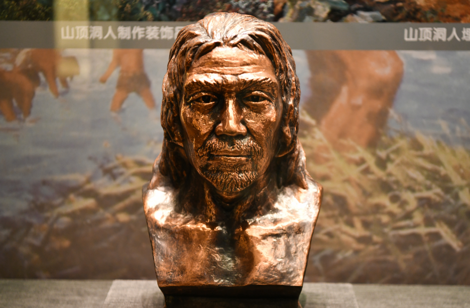 山顶洞人头像复原