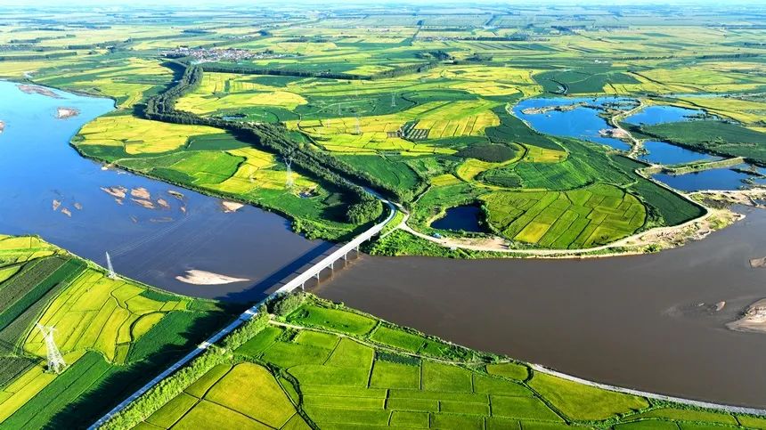 黑龙江绥化100万亩水稻进入蜡熟期|黑龙江省_新浪财经_新浪网