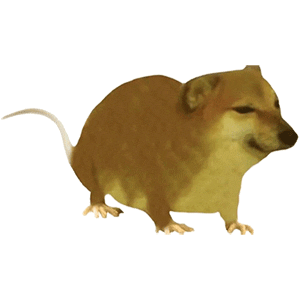 300_300gif 动态图 动图