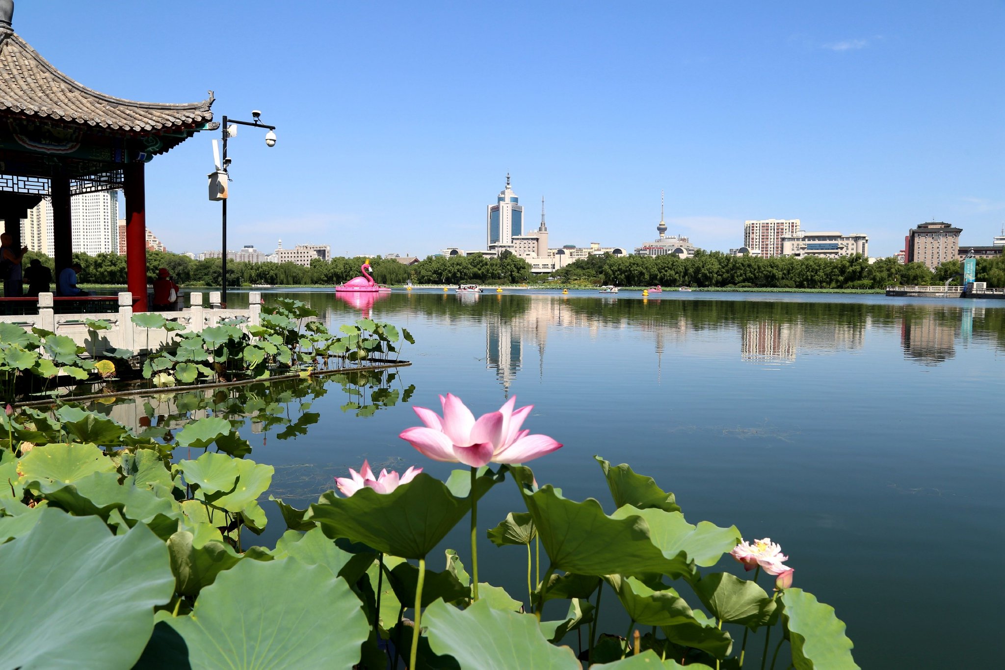 莲花池公园游船正式开航 更好满足市民文旅消费需求
