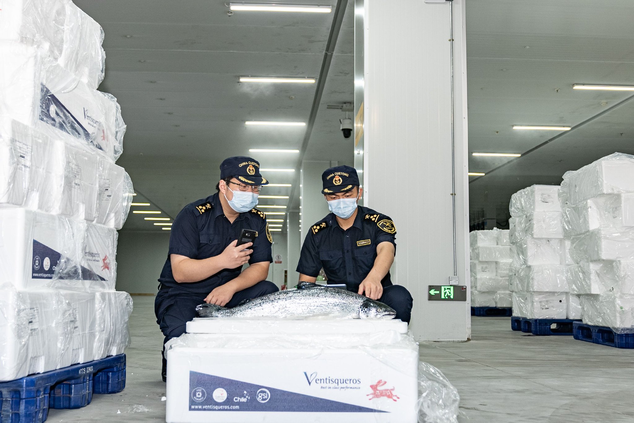 深圳宝安国际机场海关关员对进口冰鲜水产品进行查验. 深圳海关供图