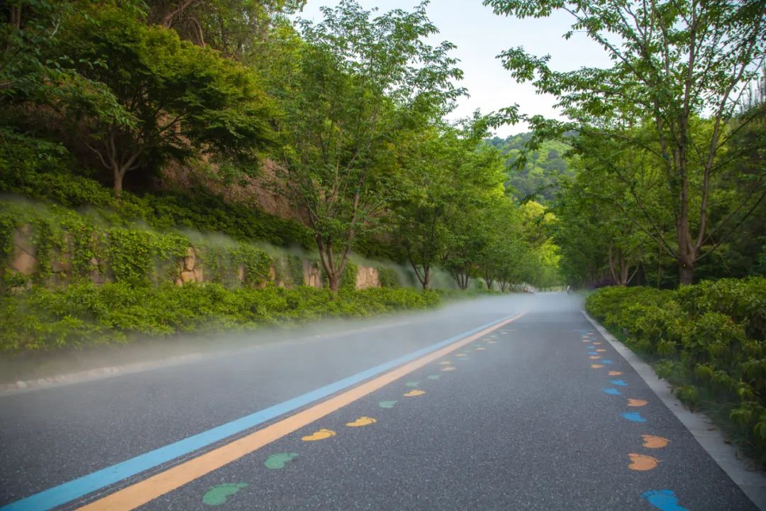 临平山绿道
