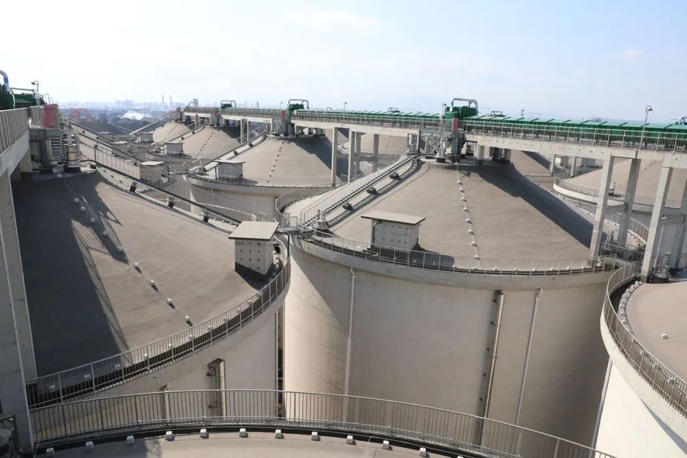 中储粮秦皇岛直属库海港粮食储备基地的粮仓.新华网 (魏会博 摄)