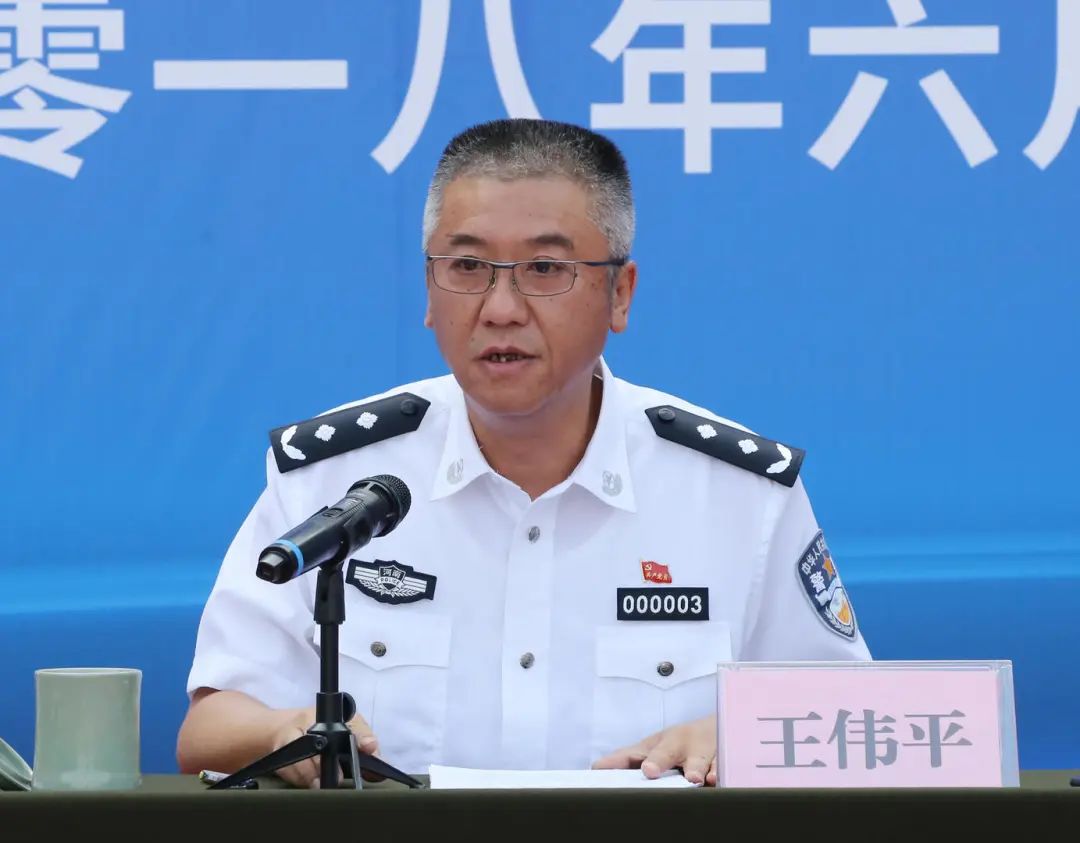 王伟平(图片来源:河南警察学院网站)