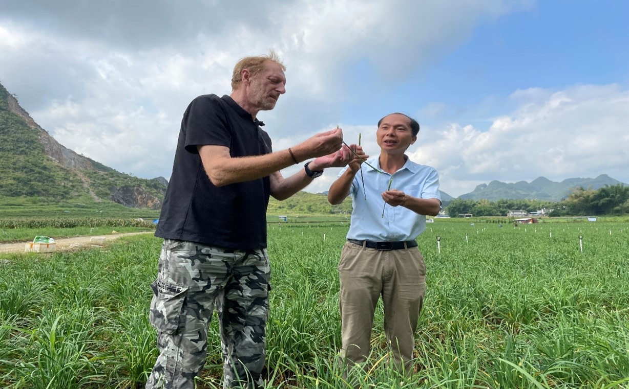 2021年,唐小付和nick在马山县乔利乡乐圩村韭菜花种植基地推介韭菜花.