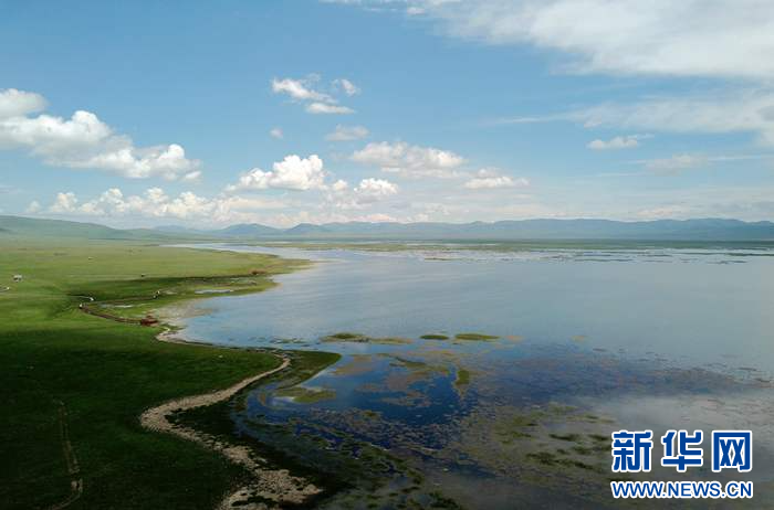 这是7月14日在甘肃省甘南藏族自治州碌曲县拍摄的尕海湖(无人机照片).