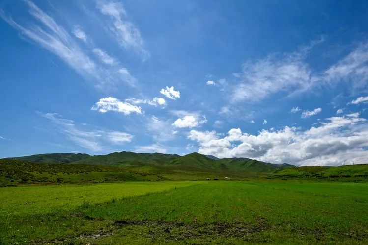 甘肃省甘南藏族自治州夏河县境内的桑科草原.