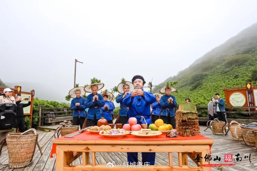 金佛山的方竹笋开采啦!|炒腊肉|烹饪|鲜美_新浪新闻