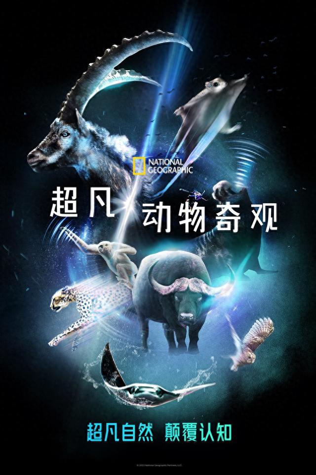 纪录片《超凡动物奇观》中文版上线,叫孩子看起来|纪录片_新浪财经