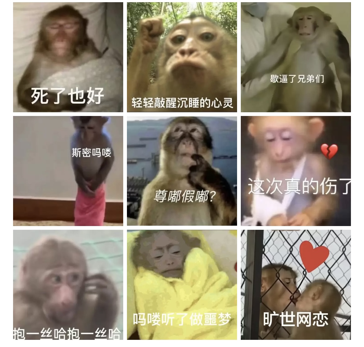 “发疯文学”大流行:胡言乱语里的绝望和希望_新浪财经_新浪网