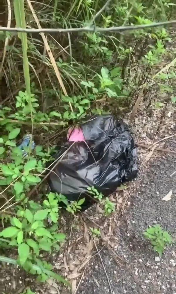 被遗弃的婴儿(网传视频截图).