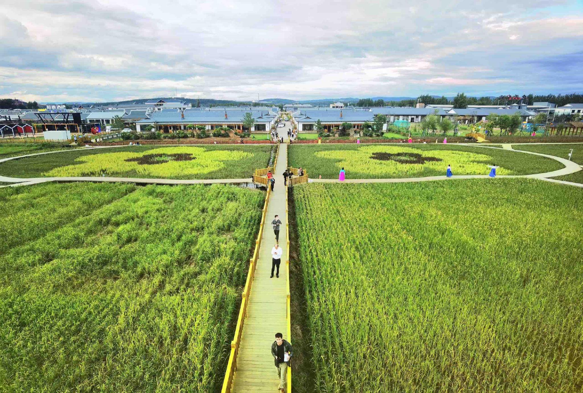 高质量发展调研行丨牡丹江中兴村:把"空壳村"孵化成"画中村"