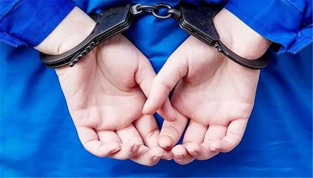 上饶一男子引发山火,被判拘役3个月!_新浪财经_新浪网