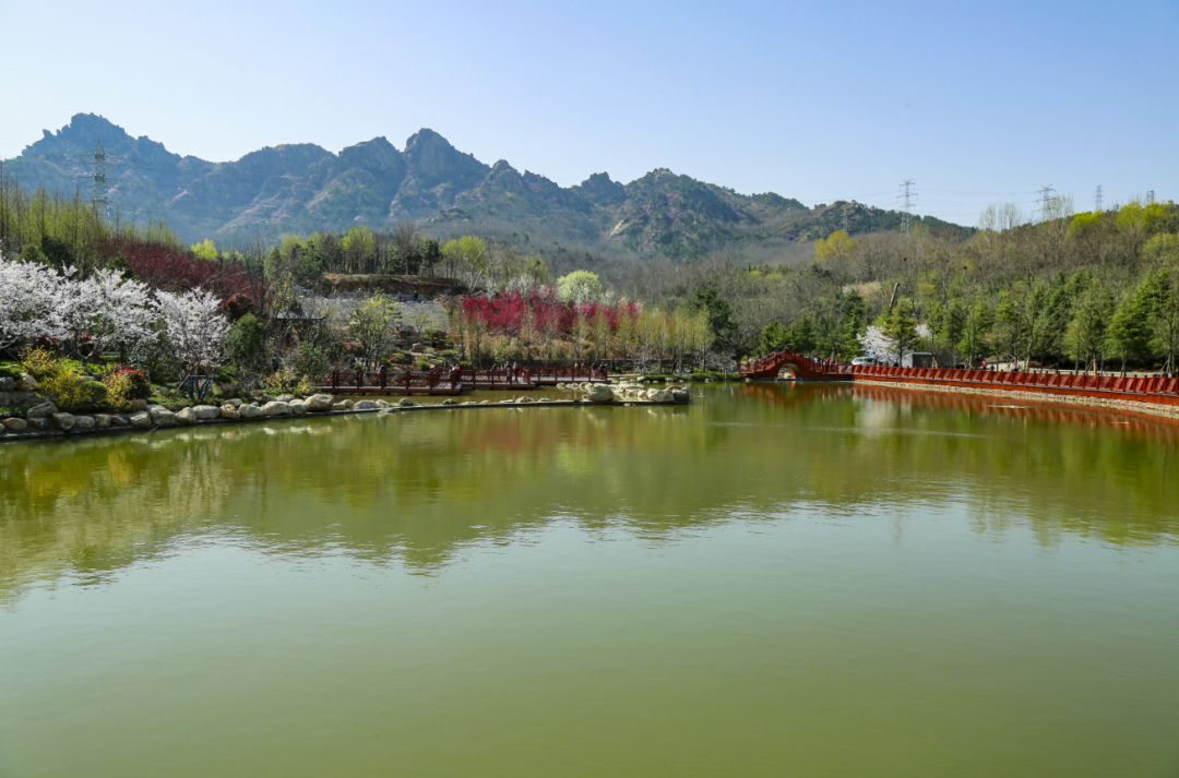 招募!本周六来浮山森林公园,与树木交朋友|森林公园_新浪财经_新浪网