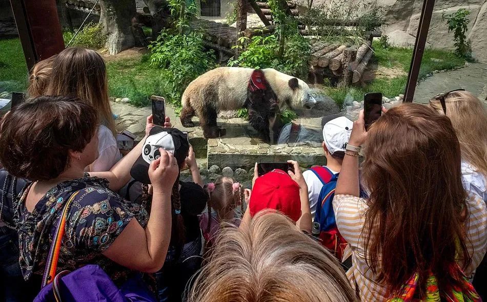 当地时间2020年6月16日,俄罗斯莫斯科,莫斯科动物园重新开放,游客们