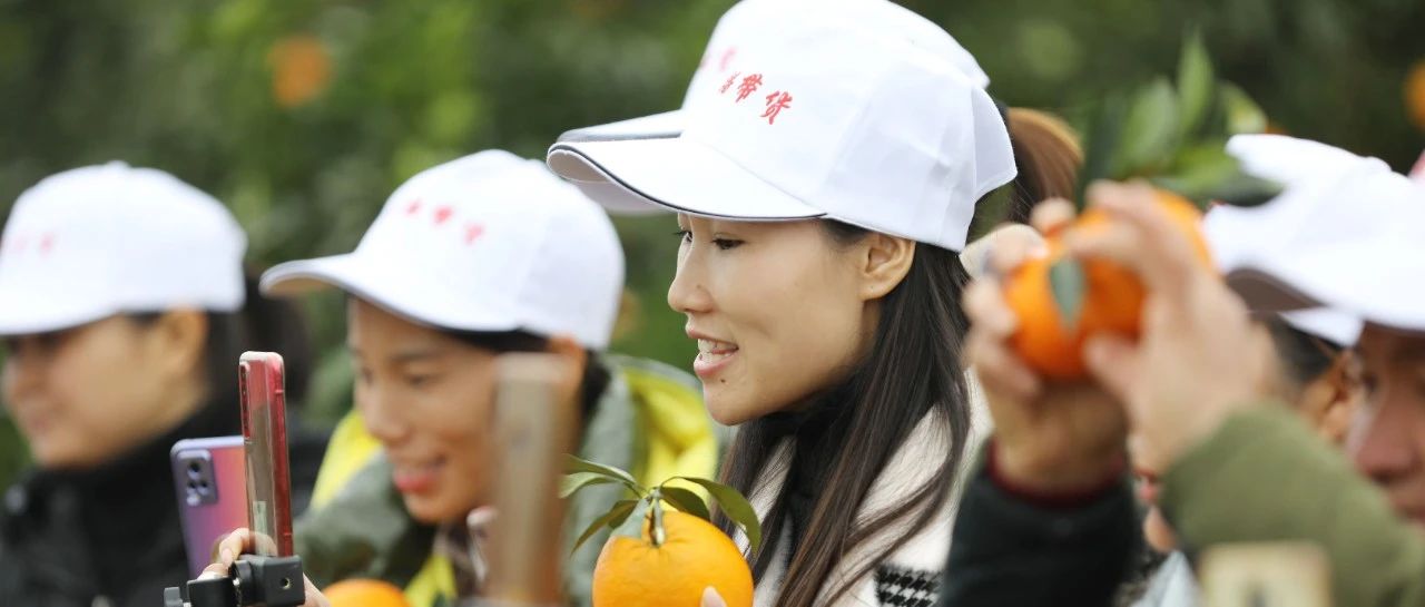 老茶馆如何突围同质化?_老九品茶楼线上论坛省60%运营成本