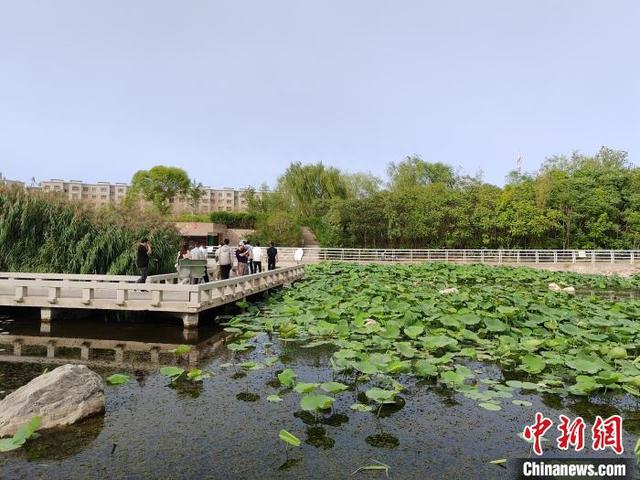 新疆库尔勒市杜鹃河湿地公园已种植万余株乔木灌木及大量的水生植物.