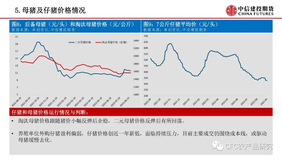 【禽畜周报】生猪震荡延续，鸡蛋走过山峰