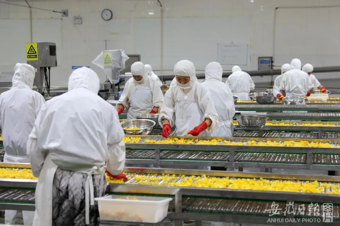 工人在黄桃罐头生产车间忙碌。万善朝 摄