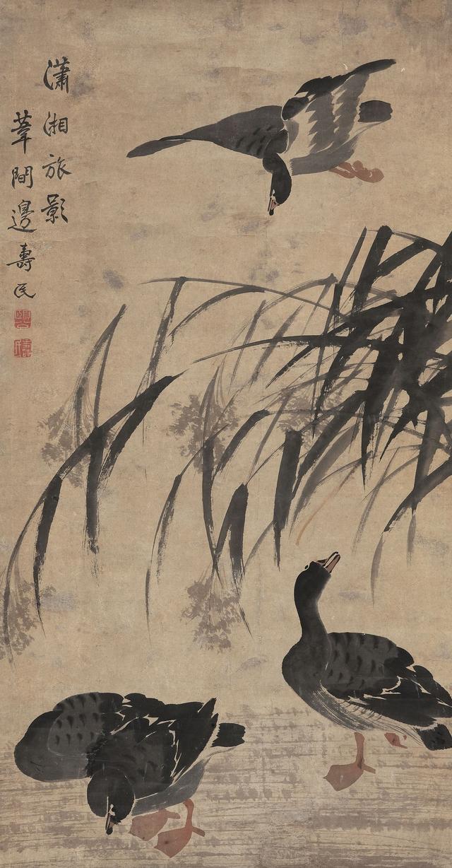 边寿民的芦雁|书屋_新浪财经_新浪网