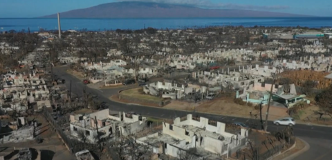 美国哥伦比亚广播公司视频截图