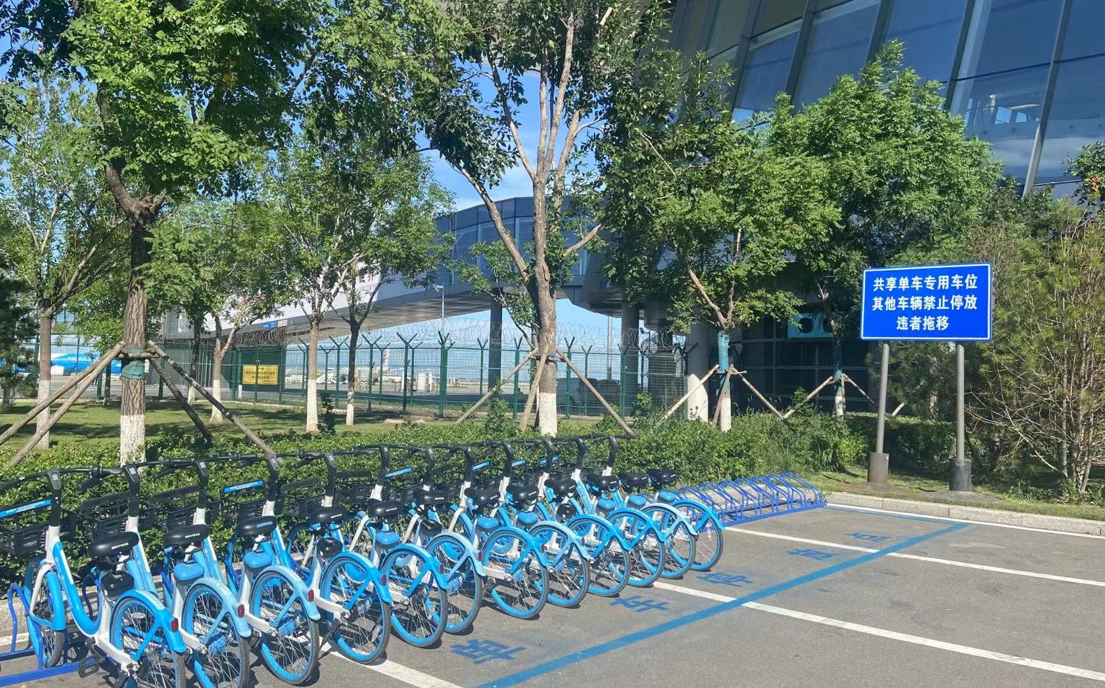 庄闲和游戏-学生出行安全指南｜平安上下学安全伴我行这些交通知识一定要牢记！