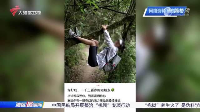 年轻人抱树解压看似无理其实有理 专家：大树向下扎根向上生长，是一种正面的心理暗示_新浪新闻