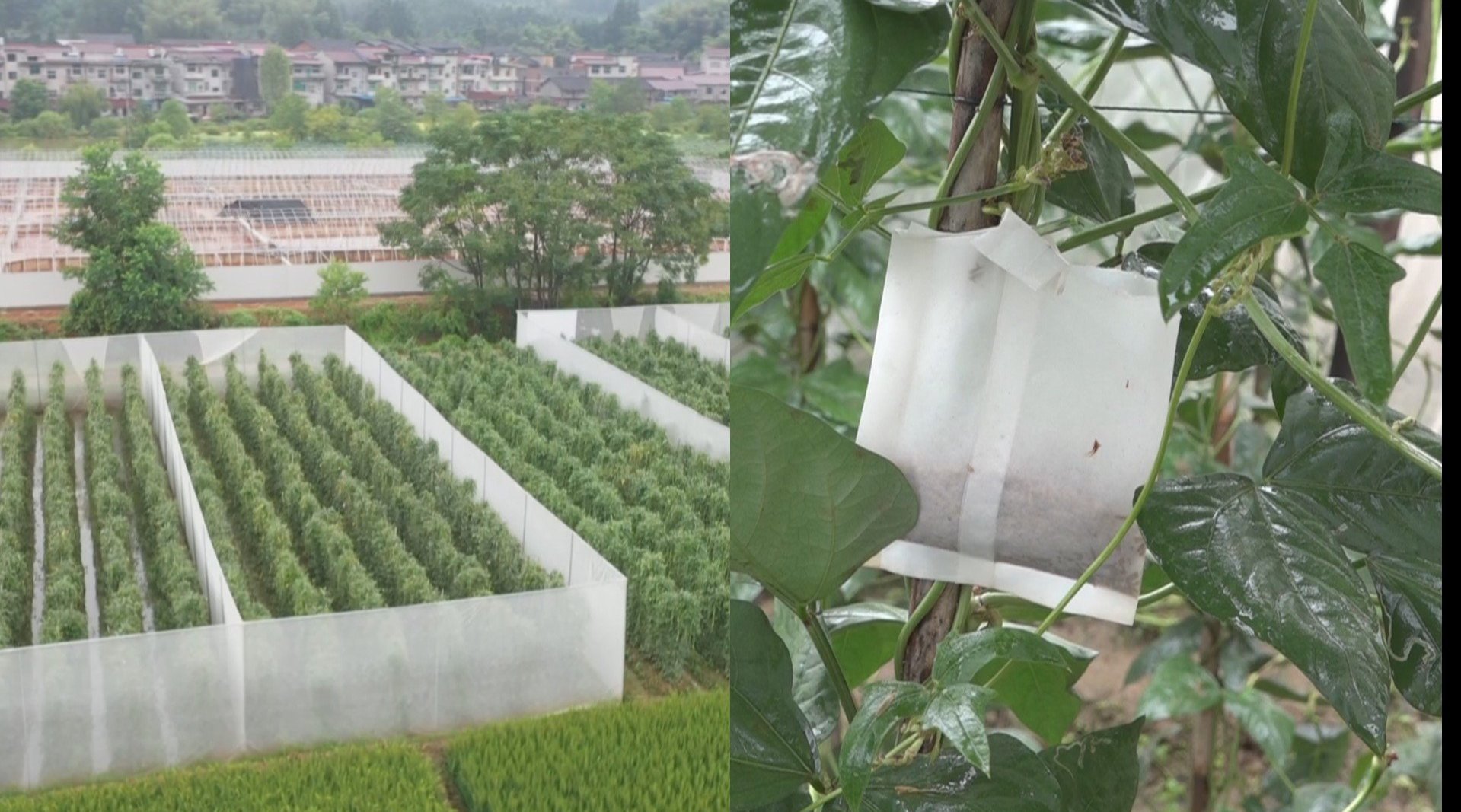 进气格栅防虫网有必要安装吗 路上方形设备到底是啥