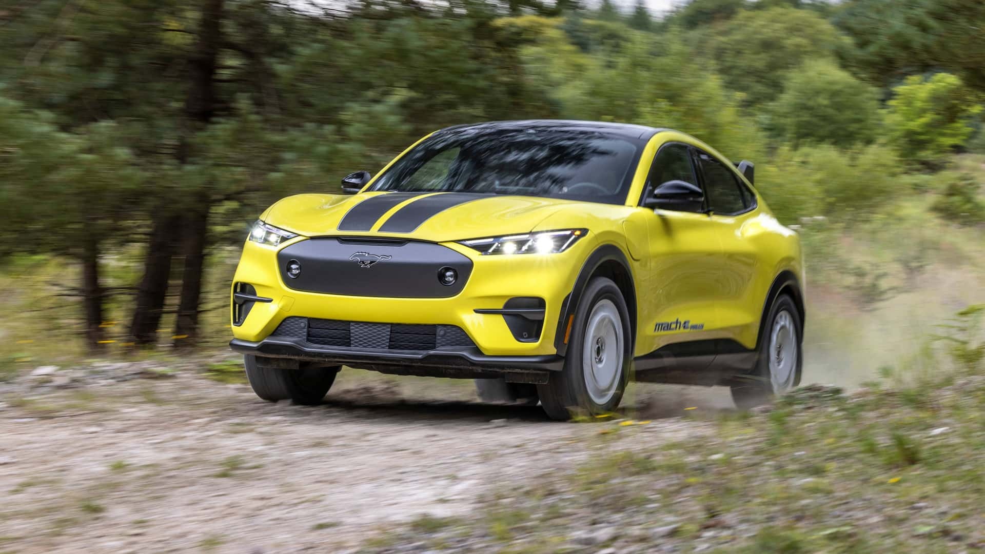 福特mustangmache拉力版发布标配双电机四轮驱动