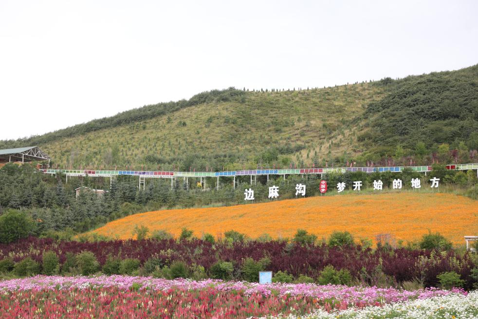 这是8月31日在西宁市大通回族土族自治县朔北藏族乡边麻沟村拍摄的