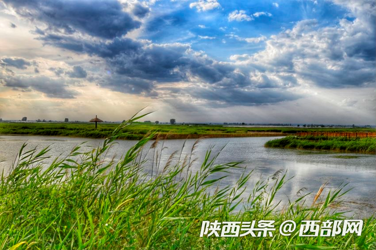 在陕西大荔朝邑国家湿地公园 寻找保护生态多样性的意义|陕西省_新浪财经_新浪网